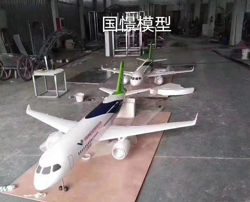 徐闻县飞机模型