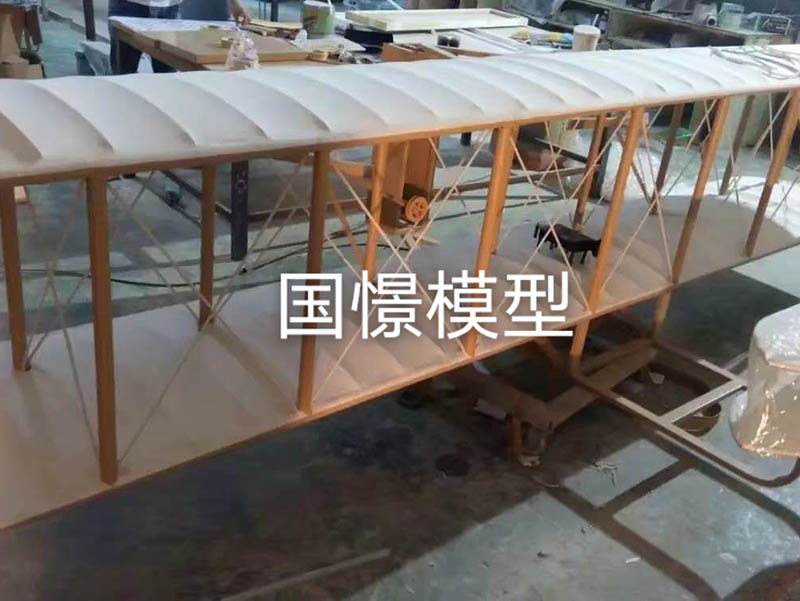 徐闻县飞机模型